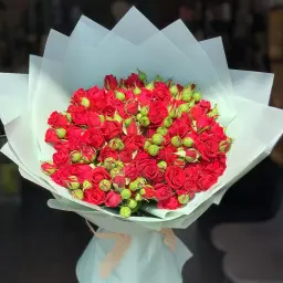 بيبي روز احمر